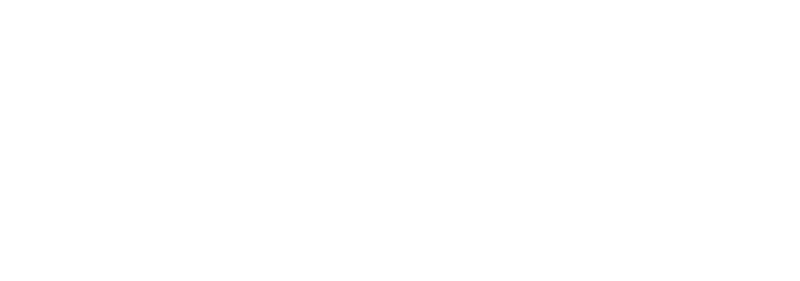 Logo-Business-Insurers-Carolinas